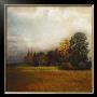 Autumn Horizon Ii by Amy Melious Limited Edition Print