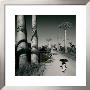 Allee Des Baobabs Ii by Chris Simpson Limited Edition Print