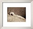 Dog Tired by Jim Dratfield Limited Edition Print