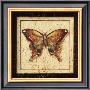 Ancient Butterfly Iii by Marty Joseph Limited Edition Pricing Art Print