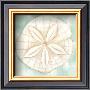 Ocean Sanddollar by Chariklia Zarris Limited Edition Print