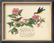 Nectarina Verse by Nathaniel Tweet Limited Edition Pricing Art Print