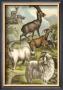Goats by Henry J. Johnson Limited Edition Print