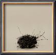Leeba's Nest by Ruth Silverman Limited Edition Print