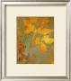 Water Garden I by Lanie Loreth Limited Edition Print