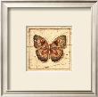 Ancient Butterfly I by Marty Joseph Limited Edition Print