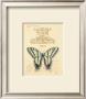 Filigree Papillon by Chad Barrett Limited Edition Print