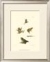 Antique Frogs I by J.W. Hill Limited Edition Print