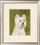 West Highland White Terrier by John Golden Limited Edition Print