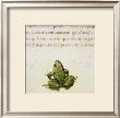 Frog by Pietro Candido Decembrio Limited Edition Pricing Art Print