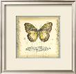 Butterfly And Wildflowers Ii by Jennifer Goldberger Limited Edition Print