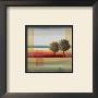 Apple Tree Ii by Patricia Quintero-Pinto Limited Edition Print