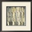 Aged Elegance I by Jennifer Goldberger Limited Edition Pricing Art Print