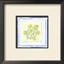 Turtle With Plaid Iv by Megan Meagher Limited Edition Print