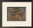 Sisters Of The Serengeti by Ruane Manning Limited Edition Print