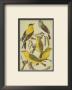 Petite Songbirds Iii by Cassel Limited Edition Print