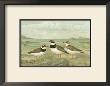 Shore Gathering Iv by Franz Eugen Kohler Limited Edition Print