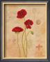 Poppy Fresco Ii by Adam Guan Limited Edition Print