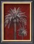 Palm Study On Red by Adam Guan Limited Edition Pricing Art Print