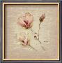 Magnolia Square by Cheri Blum Limited Edition Pricing Art Print