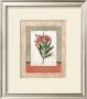Laurier Rose by Carol Robinson Limited Edition Pricing Art Print
