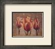 Triple Tulip Iii by Rumi Limited Edition Print