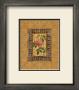 Rose Illumination Ii by Merri Pattinian Limited Edition Print