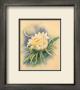 Night Blooming Cereus by Ted Mundorff Limited Edition Print