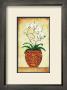 Multi Stem Orchid by Merri Pattinian Limited Edition Pricing Art Print