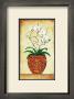 Multi Stem Orchid by Merri Pattinian Limited Edition Print