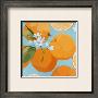 Fresh Oranges by Martha Negley Limited Edition Pricing Art Print