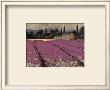 Lavender Days by James Wiens Limited Edition Print