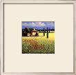 Summer's Brilliance by David Short Limited Edition Print