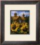 Cottage Of Delights I by Malcolm Surridge Limited Edition Print