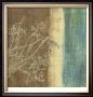 Antique Ivory Iii by Chariklia Zarris Limited Edition Print