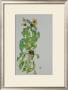 Sunflowers, 1917 by Egon Schiele Limited Edition Print