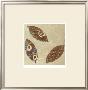 Linen Leaves Iii by Chariklia Zarris Limited Edition Print