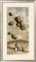 Galets Bleus Et Coquillages by Veronique Didier-Laurent Limited Edition Pricing Art Print