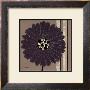 Chic Suede Flower by Debbie Halliday Limited Edition Print