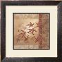 Japanese Maple Ii by Viv Bowles Limited Edition Print