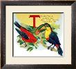 Tanager by William Stecher Limited Edition Print