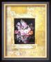 Enquadro Iii by F. Potter Limited Edition Print