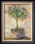 Orange Tree by Rian Withaar Limited Edition Pricing Art Print