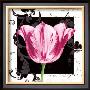 Damask Tulip I by Pamela Gladding Limited Edition Print