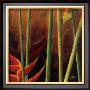 Heliconias En Naranja I by Patricia Quintero-Pinto Limited Edition Print