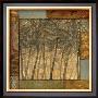 Palm Grove I by Julia Hawkins Limited Edition Print