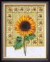 Flower With Border Ii by G.P. Mepas Limited Edition Print