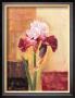 Beautiful Iris by Gerard Beauvoir Limited Edition Pricing Art Print