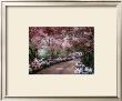 Azalea Walk by Diane Romanello Limited Edition Print