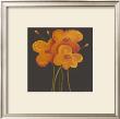 Petite Jaune by Jocelyne Anderson-Tapp Limited Edition Print